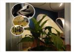Winstgevend Wellness bedrijf te koop Den Haag